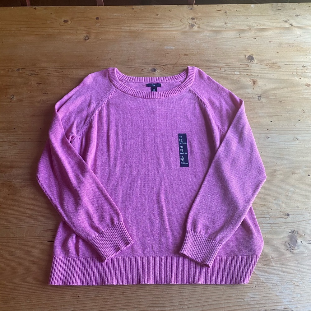 NWT Pink Gap Crewneck Sweater